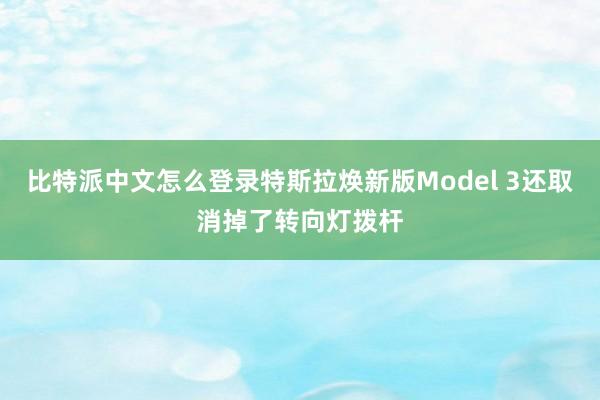 比特派中文怎么登录特斯拉焕新版Model 3还取消掉了转向灯拨杆